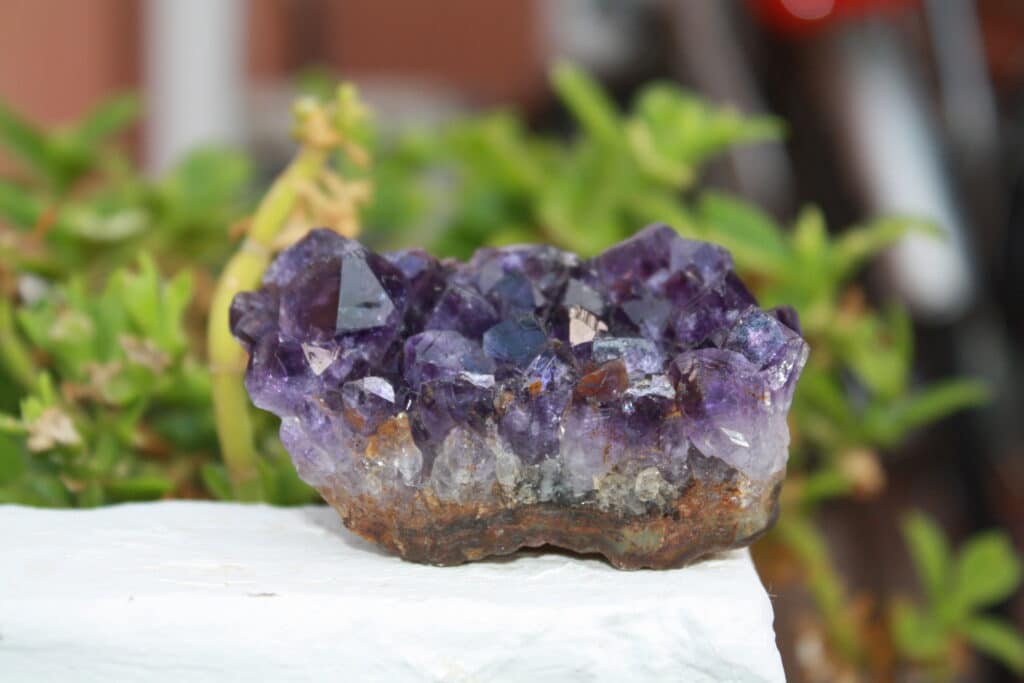 Raw unpolished amethyst crystal outside on white stone with green plants in the background